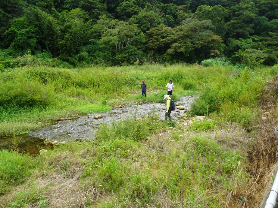 5.瑞樹坑溪谷風光
