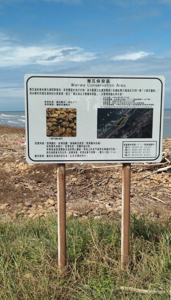 海瓜子保育區01