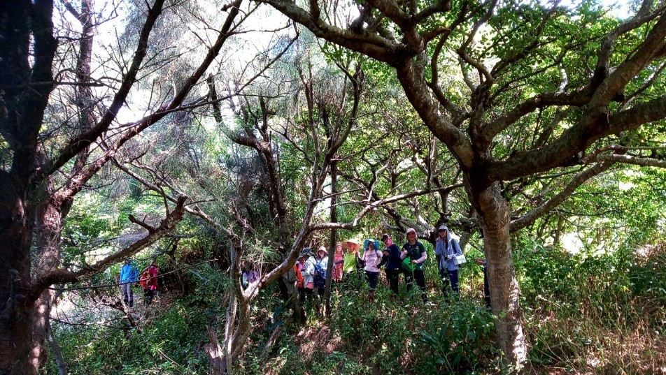 濱海鄉土植物學習步道01