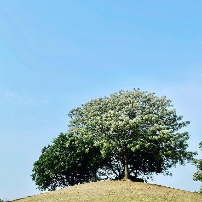 【台南市台南社區大學】在地行起-踏溯台灣山海圳國家綠道 (4)